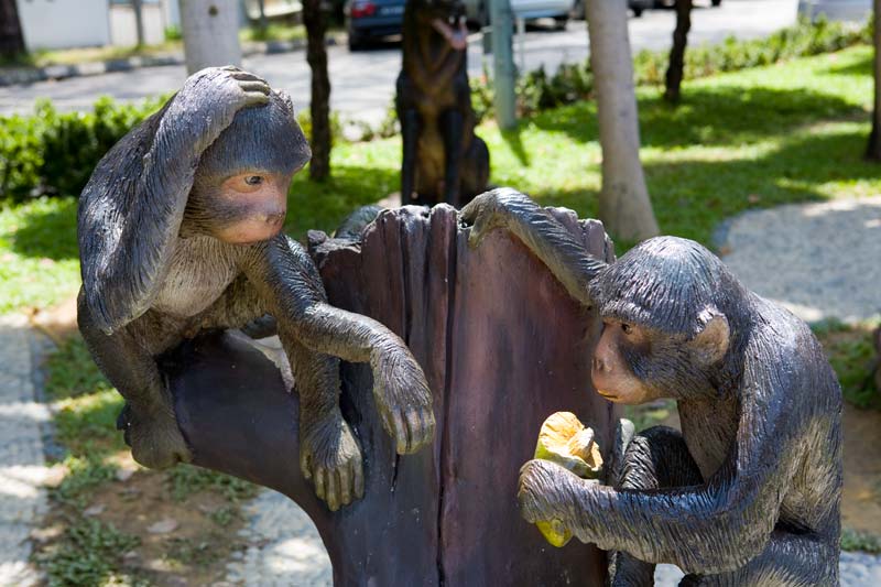 Monkey Malaysia Pictures - Kuala Lumpur Pictures