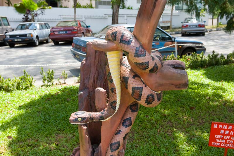 snake Malaysia Pictures - Kuala Lumpur Pictures