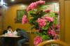 plastic flowers restaurant