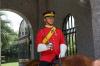 guard on horse