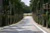 road to palace